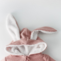 uploads/erp/collection/images/Baby Clothing/Engepapa/XU0398404/img_b/img_b_XU0398404_4_f5H4r7YBnlA-R9H37dN4kDB2xjZXQIRx